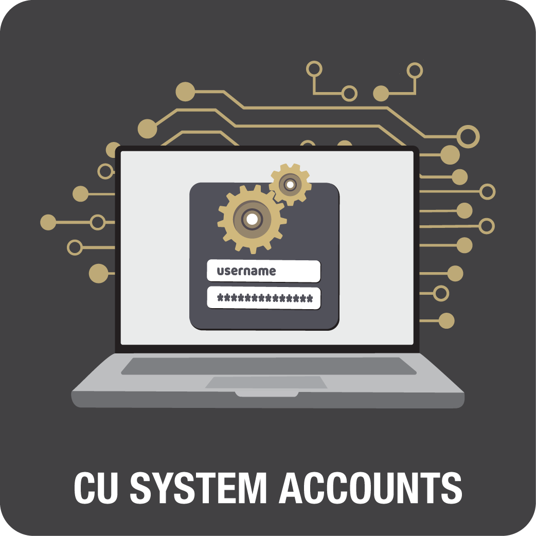 CU System Accounts - Click to access webpage