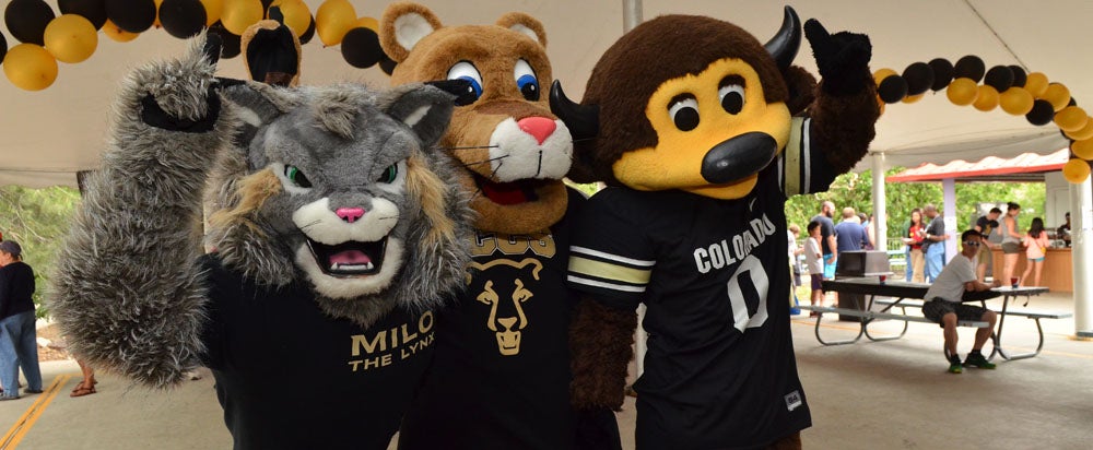 CU has mascots at three of its campuses: From left, Milo the Lynx (CU Denver), Clyde the Mountain Lion (UCCS) and Chip the Buffalo (CU-Boulder)