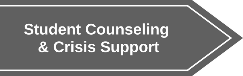 grey banner labeled Student Counseling & Crisis Support