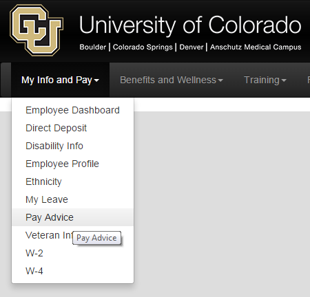 How can you view your pay stub if you have direct deposit?