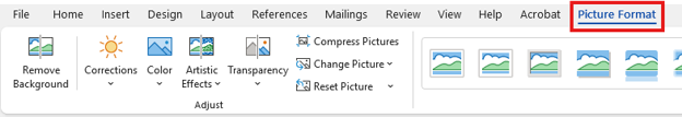 Microsoft Word ribbon with a red box over Picture Format