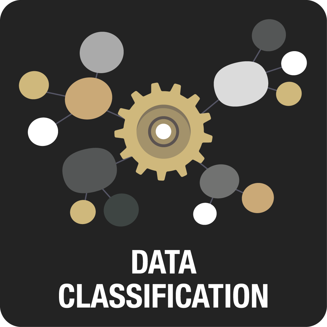 Data Classification