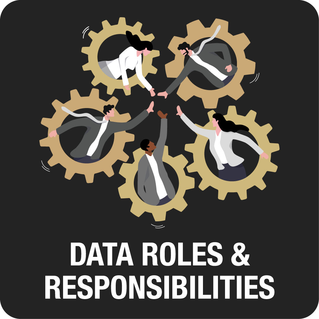 Data Roles & Responsibilities