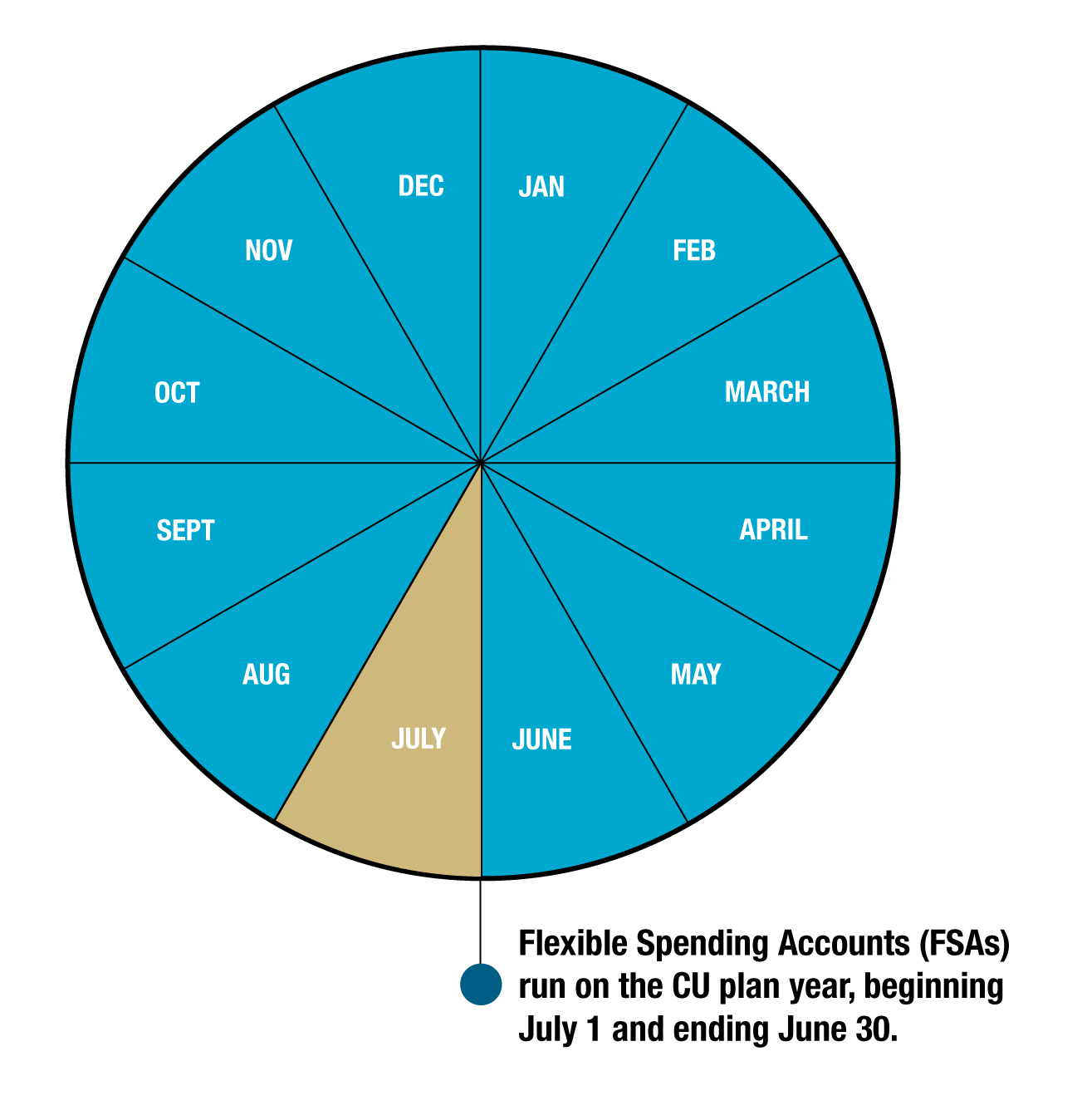 Flexible Spending Accounts run on the CU plan year, beginning July 1 and ending June 30. 