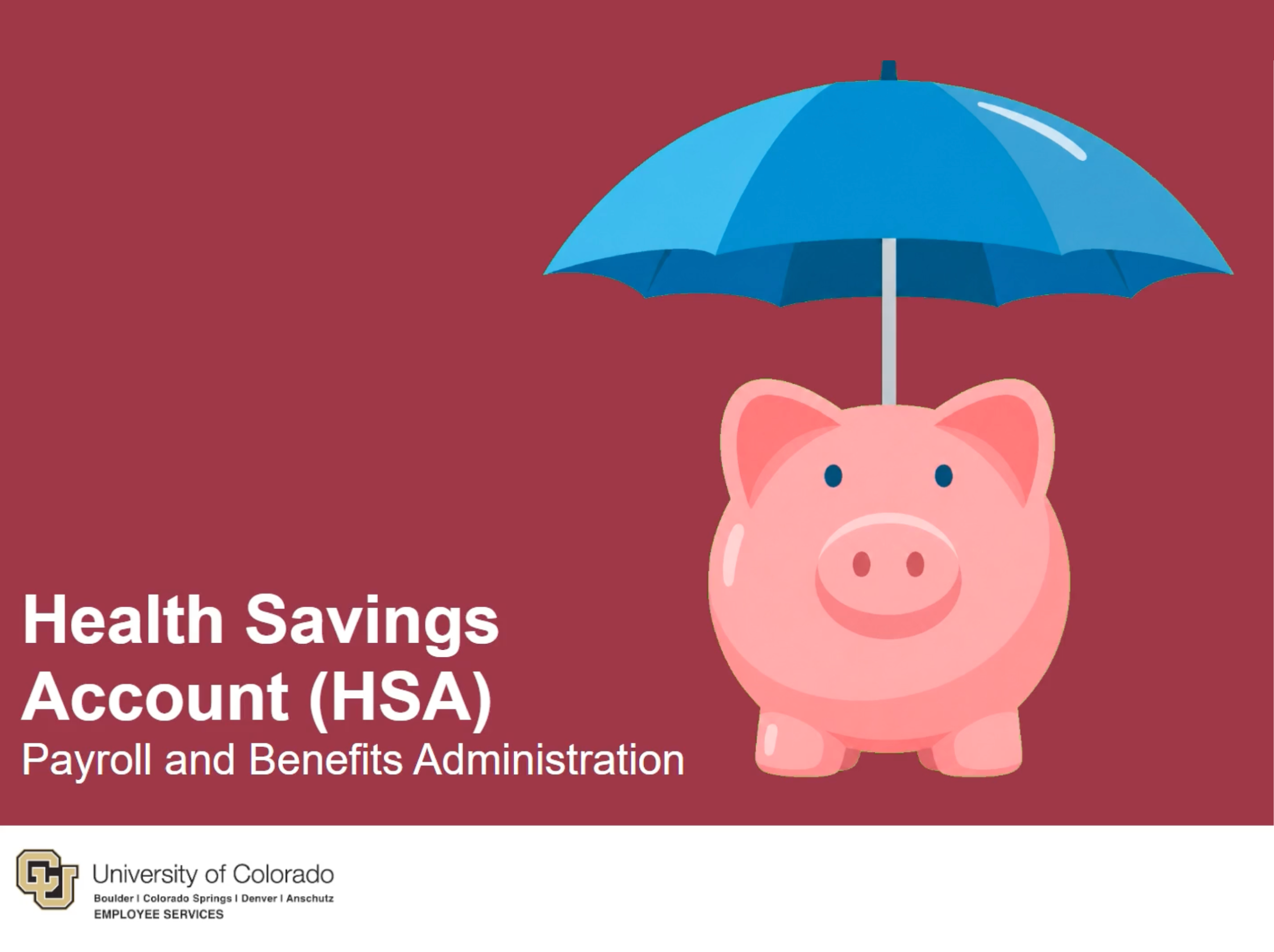 HSA Basics