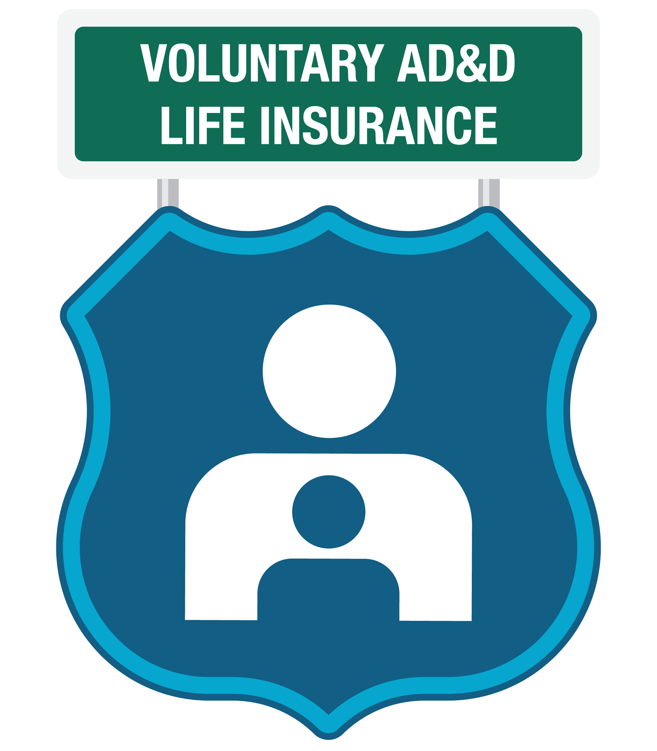 Voluntary Accidental Death and Disability Life Insurance