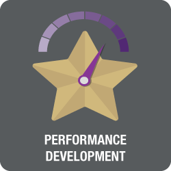 Performance Reviews