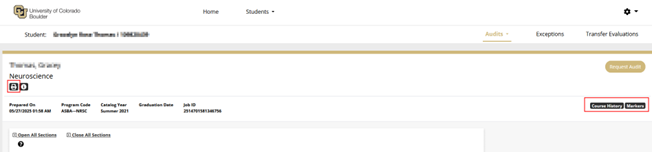New layout in uAchieve degree audit