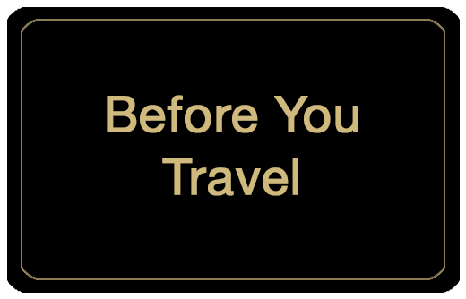 Before You Travel