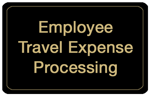 Employee Travel Expense Processing