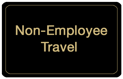 Non-Employee Travel