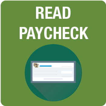 Read Paycheck