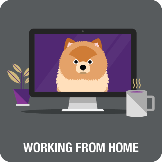 Working From Home