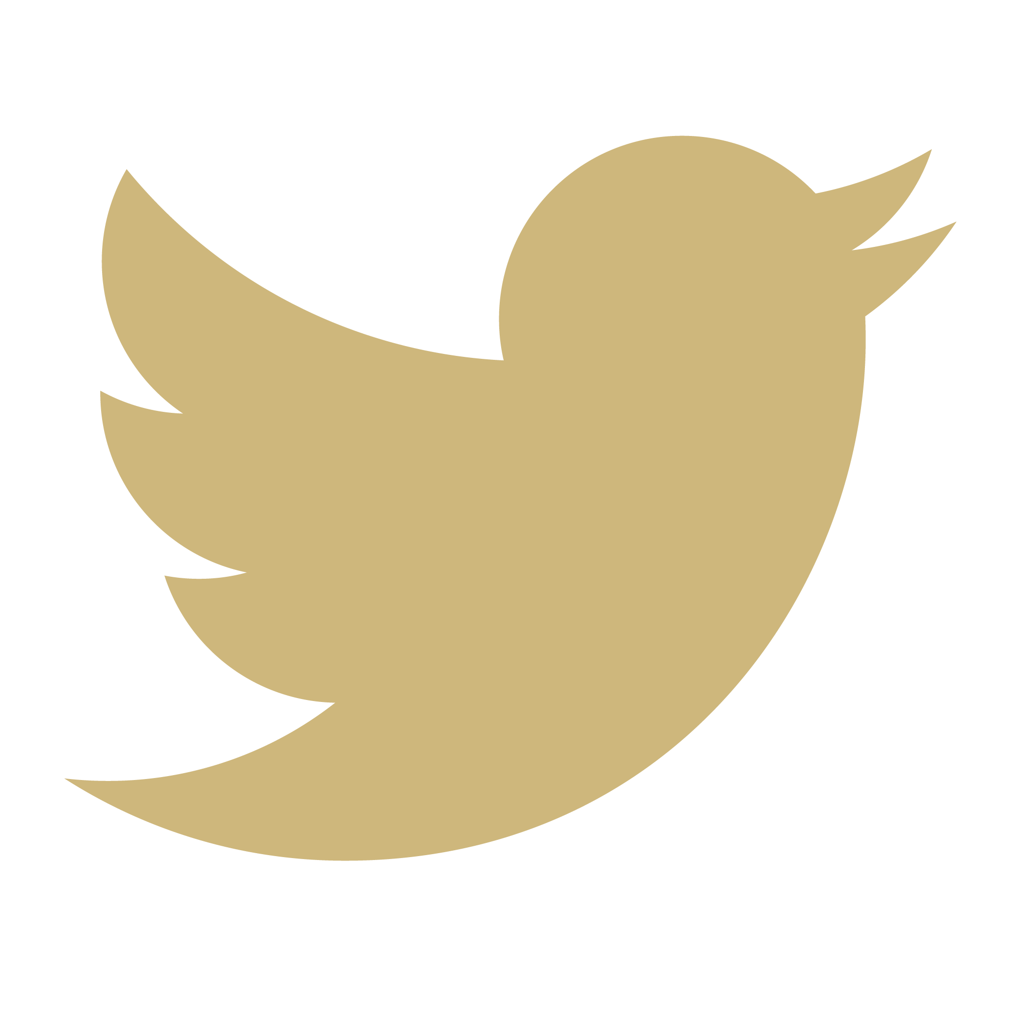 social link