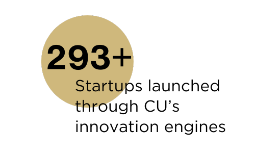293 startups launched