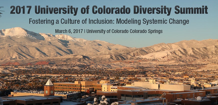 2017 Diversity Summit