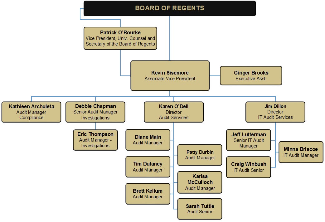 Internal Audit Org Chart
