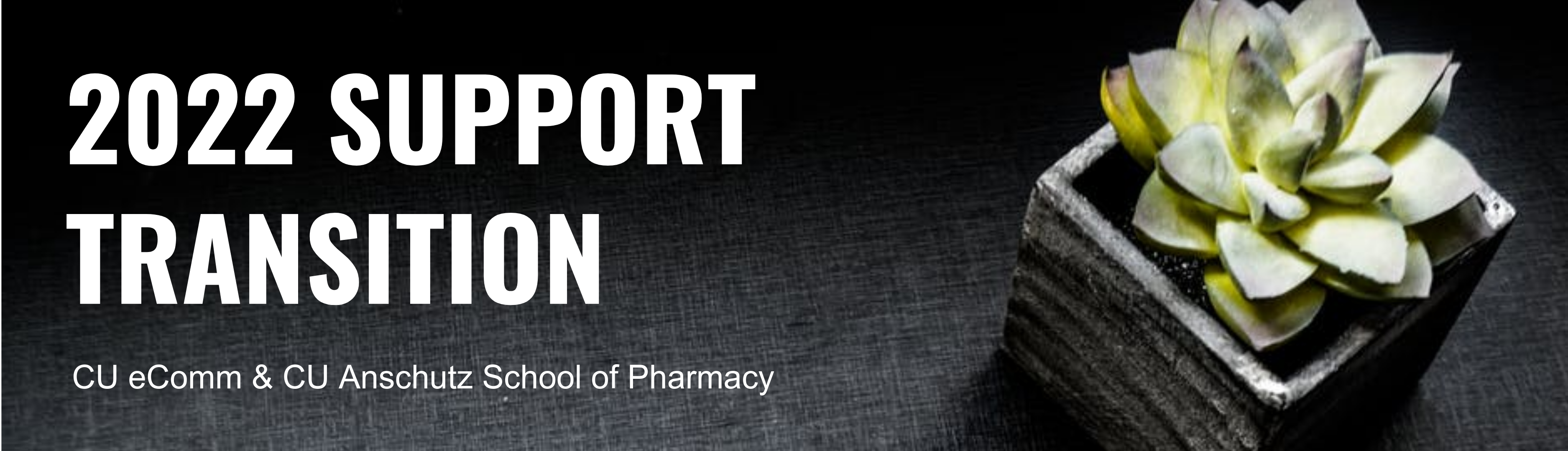 eComm/Pharmacy Support Transition