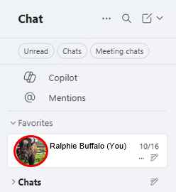 Microsoft Teams chat sidebar showing “Favorites” section with one entry labeled “Ralphie Buffalo (You)” and a date “10/16.” The profile photo of a buffalo is displayed next to the name. The buffalo profile photo is highlighted with a red circle.