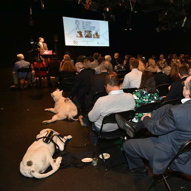 Dr. Tony Frank, President of CSU, addresses the crowd before the film