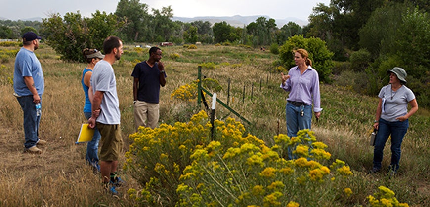 CU Denver Students Learn about Farming in the City