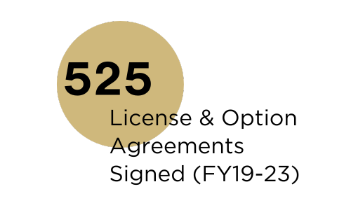525 License and option agreements