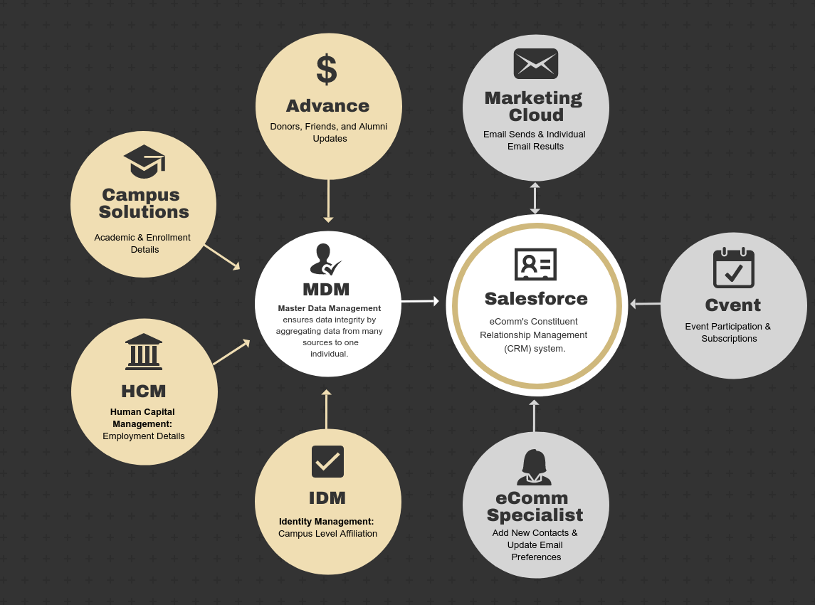 Diagram: eComm tool & data model