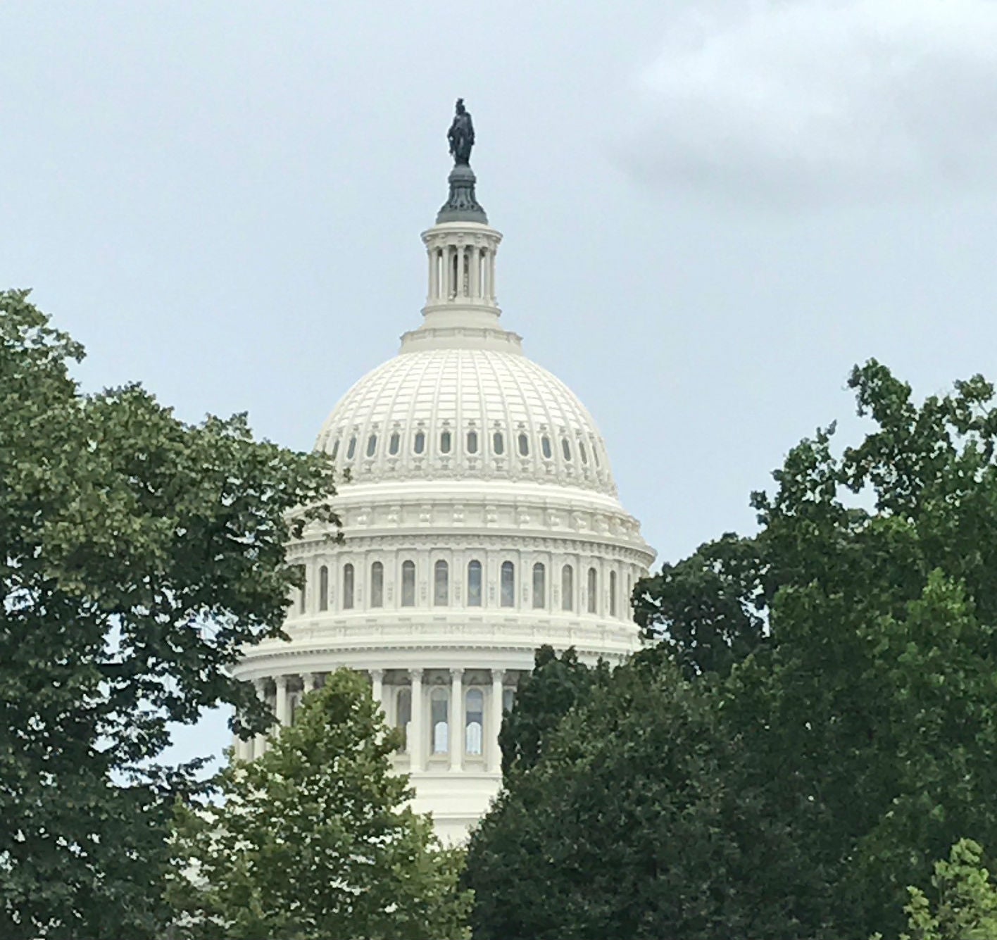 United States Capitol Building in Washington, D.C. 