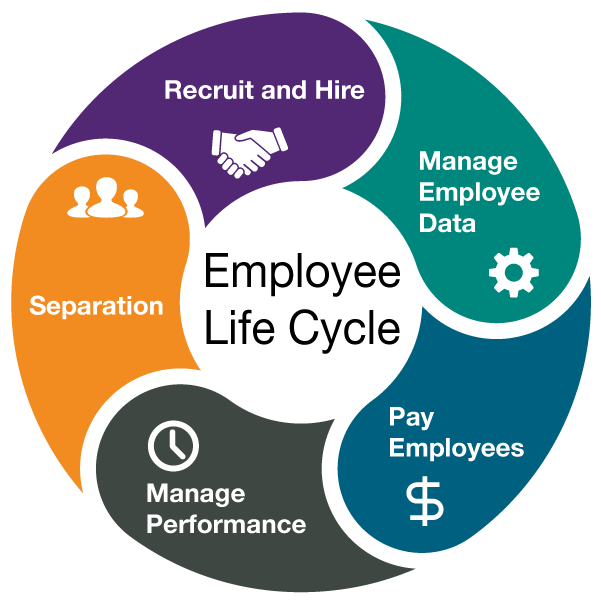 employment transition over life cycle Employment transitions over the life cycle: a statistical analysis by diane perrons and wendy sigle-rushton topics: hc economic history and conditions. employment transition over life cycle Employment transitions over the life cycle: a statistical analysis by diane perrons and wendy sigle-rushton topics: hc economic history and conditions.