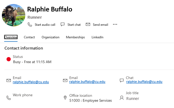 Detailed contact card for Ralphie Buffalo in Outlook, showing profile picture, job title “Runner,” status as Busy, email addresses, chat link, office location, and options for audio call, chat, and email.