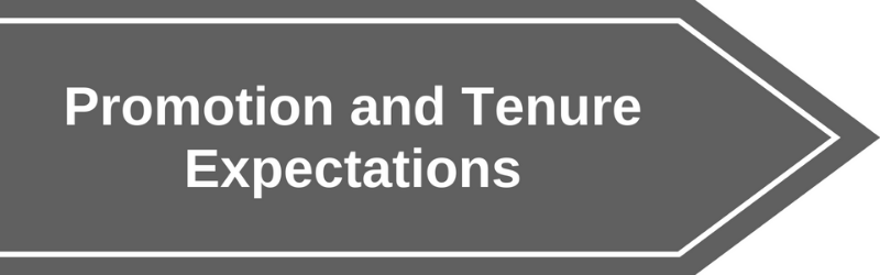 grey banner labeled Promotion & Tenure Expectations
