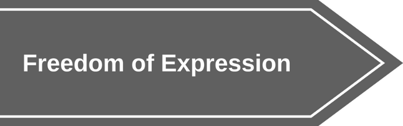 grey banner labeled Freedom of Expression