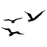 flying_birds