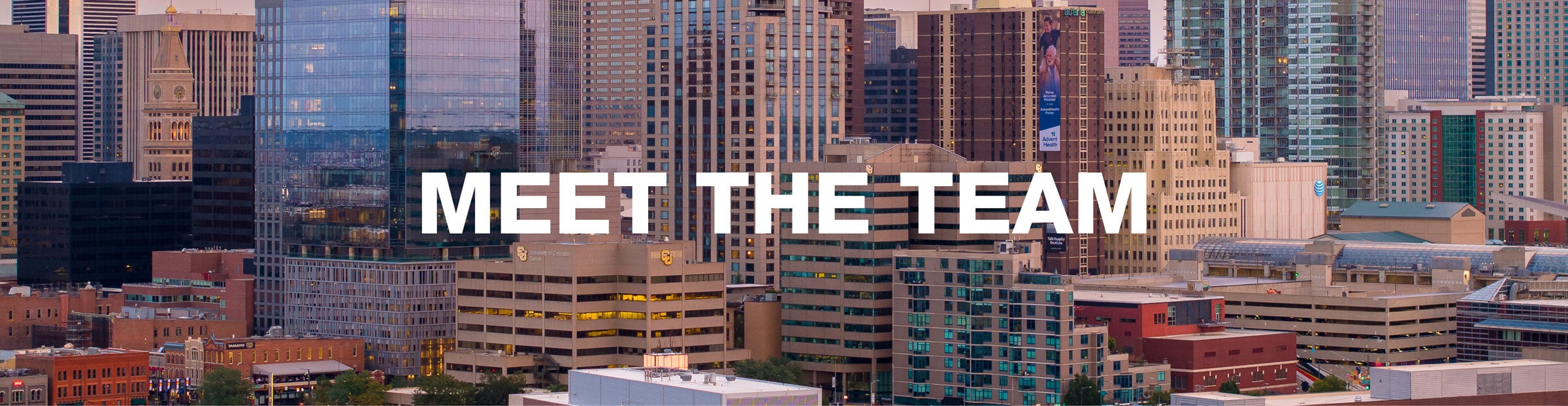 Meet the Team