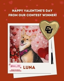 Luna, the Fur-Ever Friends Valentine's Photo Contest winner, 2026
