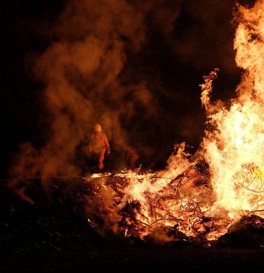 Wild Fire Stock Photo Wild Fire Stock Photo