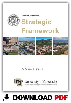 Download the Strategic Framwork