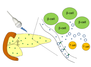 Molecular Targeting
