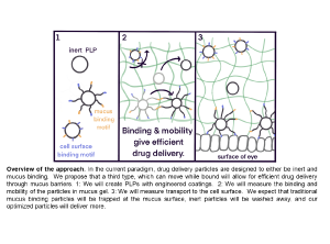 Health Risks of Environmental Micro- and Nano-plastics