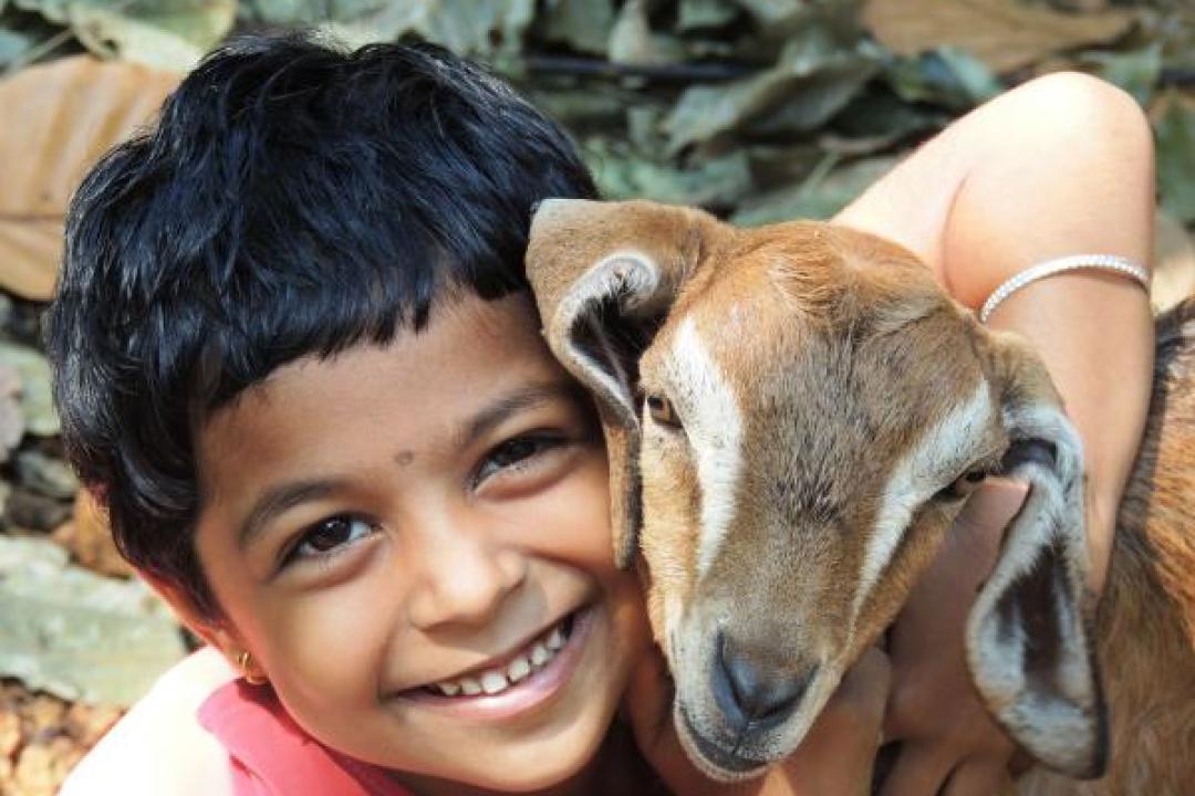 Growing up with animals