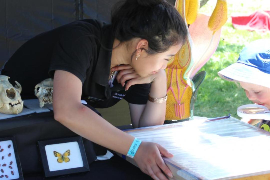 Students teach at Mesa Verde