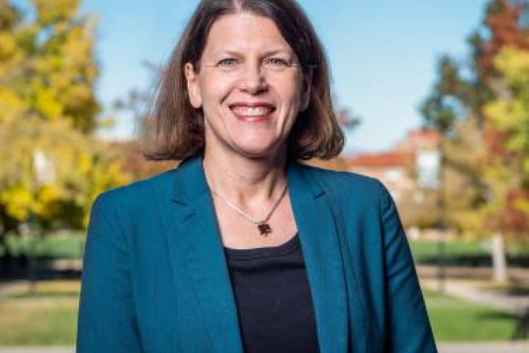 Ann Schmiesing named interim vice chancellor for strategic initiatives