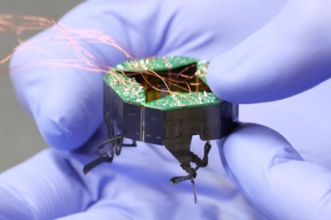 Kaushik Jayaram and his colleagues debuted a small, shapeshifting robot named CLARI in 2023. The team later designed an even smaller model called mCLARI. (Credit: Casey Cass/CU Boulder)