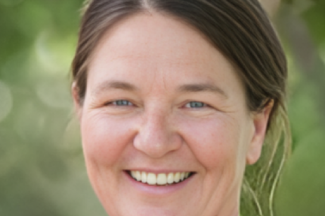 Dr. Kirsten Fleming, UCCS