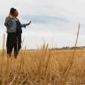 A still frame of Dianne Myles standing in the open space for the proposed development.