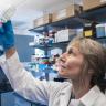 Corrie Detweiler, a professor of molecular, cellular and developmental biology, eyes some samples in the lab. (Photo: CU Boulder)