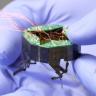Kaushik Jayaram and his colleagues debuted a small, shapeshifting robot named CLARI in 2023. The team later designed an even smaller model called mCLARI. (Credit: Casey Cass/CU Boulder)