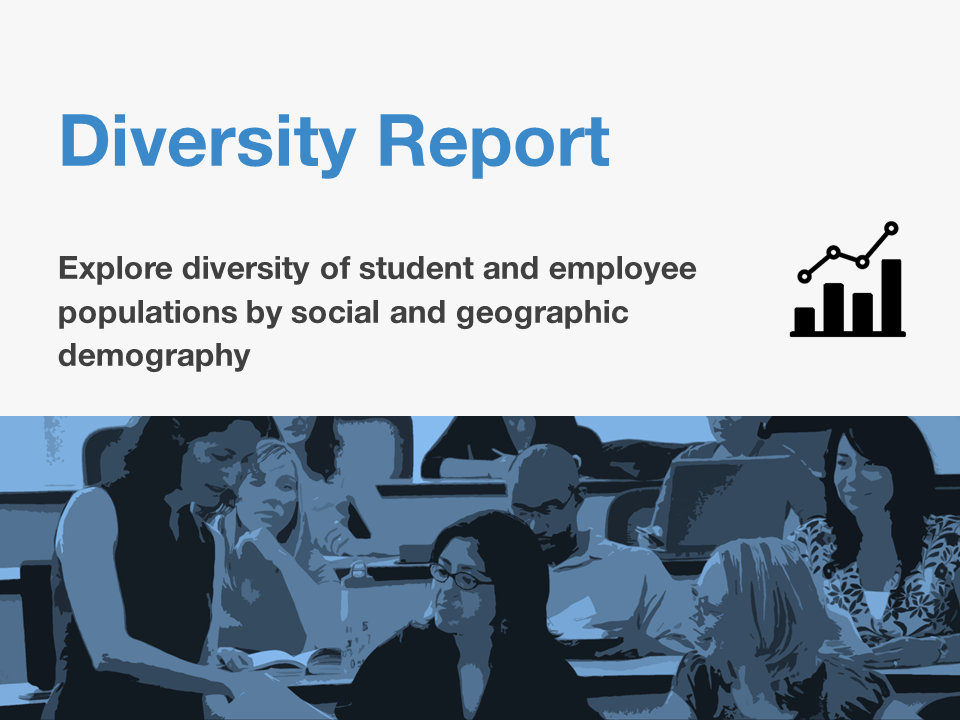 CU Diversity Report