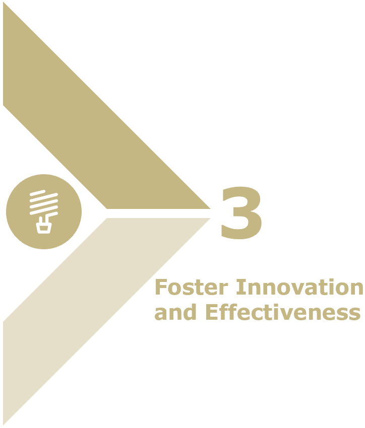 Foster Innovation and Effectiveness
