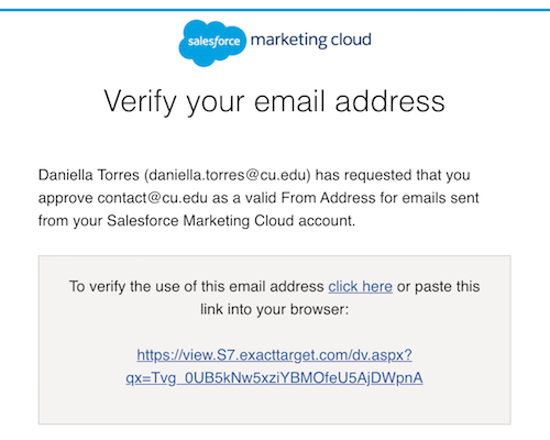 Verification Email